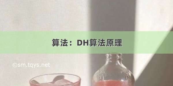 算法：DH算法原理