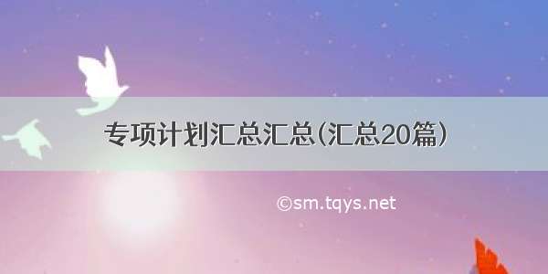 专项计划汇总汇总(汇总20篇)