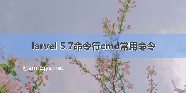 larvel 5.7命令行cmd常用命令