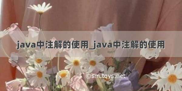 java中注解的使用_java中注解的使用