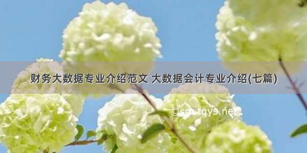 财务大数据专业介绍范文 大数据会计专业介绍(七篇)