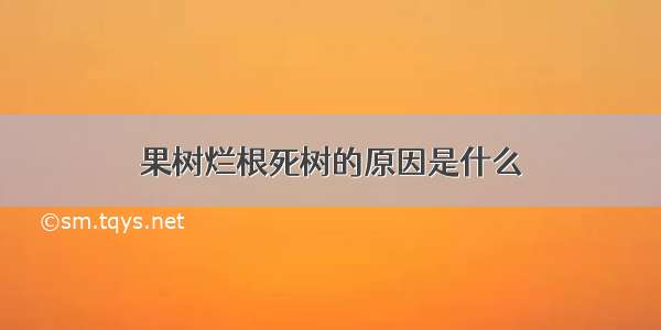 果树烂根死树的原因是什么