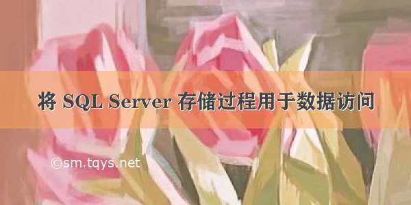 将 SQL Server 存储过程用于数据访问