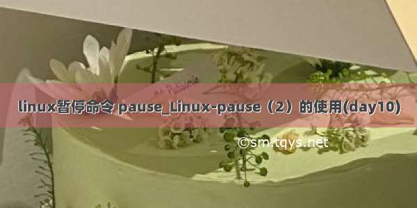 linux暂停命令 pause_Linux-pause（2）的使用(day10)