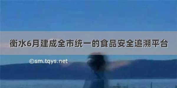 衡水6月建成全市统一的食品安全追溯平台