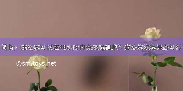 简析：蒲公英可以在48小时内杀死癌细胞？蒲公英抗癌是否可行