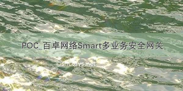 POC_百卓网络Smart多业务安全网关