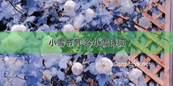 小雪节气 吟小雪诗词