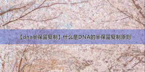 【dna半保留复制】什么是DNA的半保留复制原则