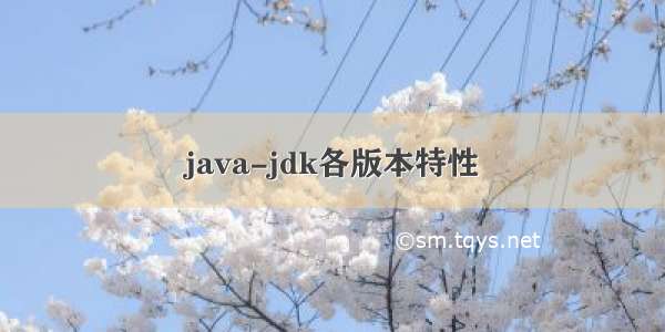 java-jdk各版本特性