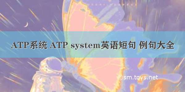 ATP系统 ATP system英语短句 例句大全