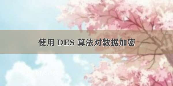 使用 DES 算法对数据加密