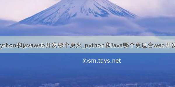 python和javaweb开发哪个更火_python和Java哪个更适合web开发?