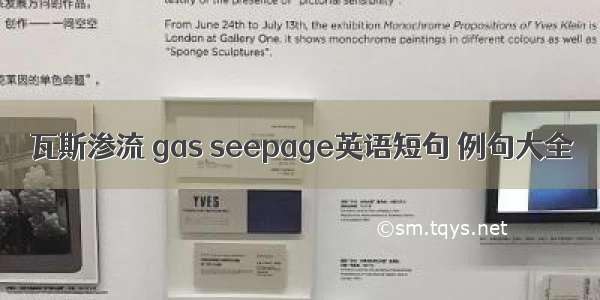 瓦斯渗流 gas seepage英语短句 例句大全