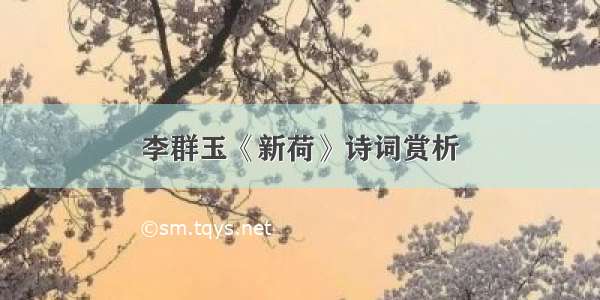 李群玉《新荷》诗词赏析