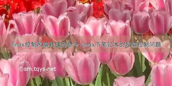 linux控制风扇转速的命令 Linux下笔记本的风扇控制问题