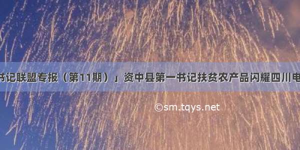 「第一书记联盟专报（第11期）」资中县第一书记扶贫农产品闪耀四川电商年货节