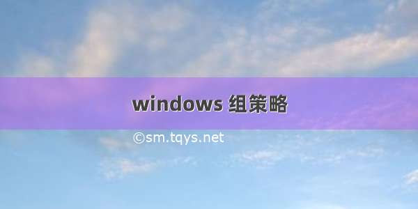 windows 组策略