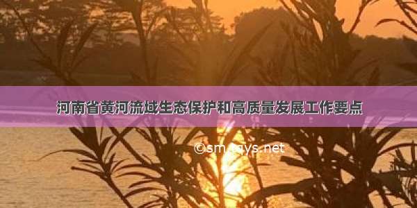 河南省黄河流域生态保护和高质量发展工作要点