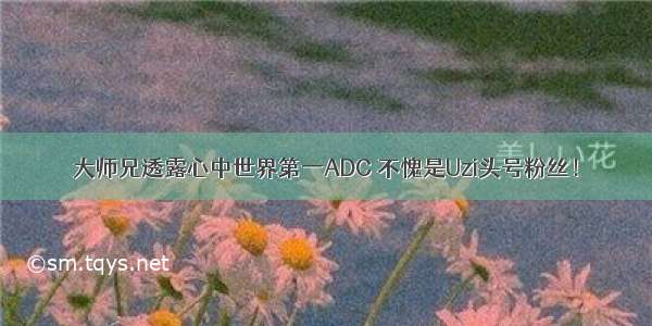 大师兄透露心中世界第一ADC 不愧是Uzi头号粉丝！