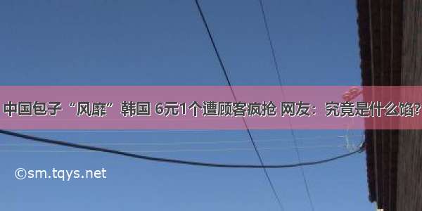 中国包子“风靡”韩国 6元1个遭顾客疯抢 网友：究竟是什么馅？