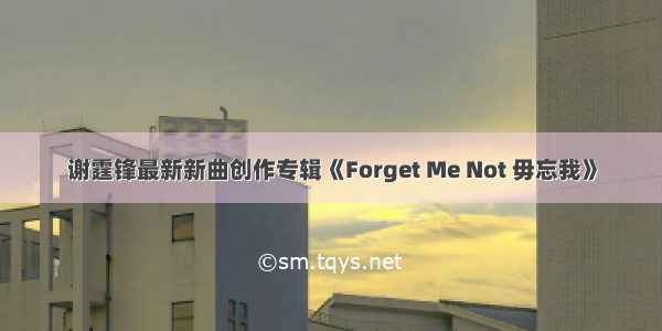 谢霆锋最新新曲创作专辑《Forget Me Not 毋忘我》