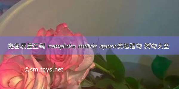 完备度量空间 complete metric space英语短句 例句大全