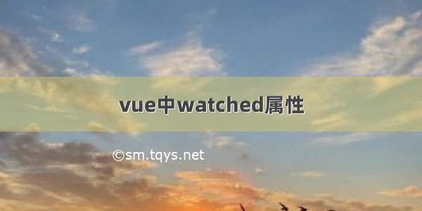 vue中watched属性