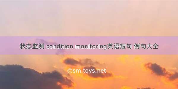 状态监测 condition monitoring英语短句 例句大全