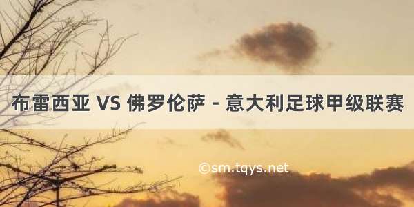 布雷西亚 VS 佛罗伦萨 - 意大利足球甲级联赛