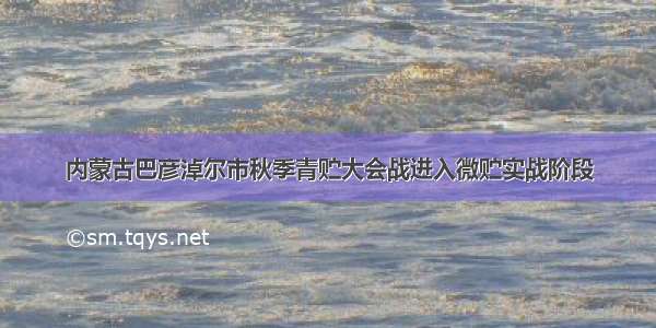 内蒙古巴彦淖尔市秋季青贮大会战进入微贮实战阶段