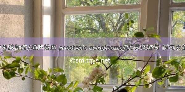 前列腺肿瘤/超声检查 prostatic neoplasms/US英语短句 例句大全