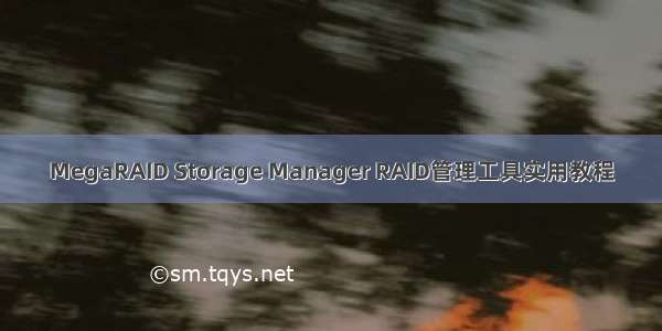 MegaRAID Storage Manager RAID管理工具实用教程