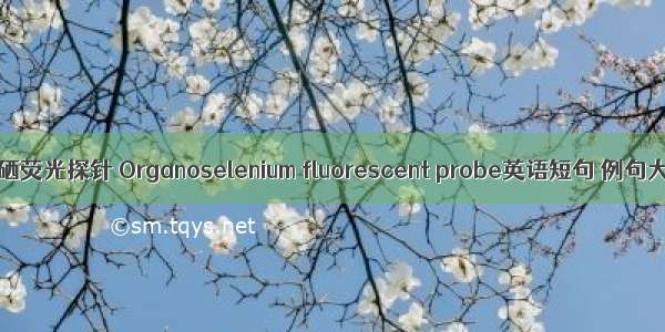 有机硒荧光探针 Organoselenium fluorescent probe英语短句 例句大全