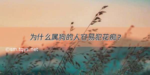 为什么属狗的人容易犯花痴？