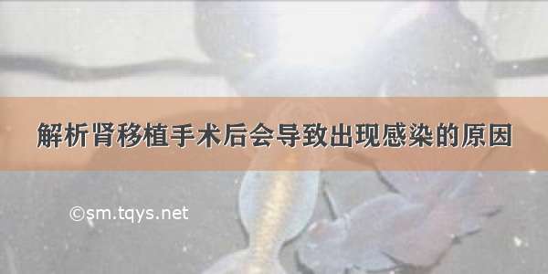 解析肾移植手术后会导致出现感染的原因