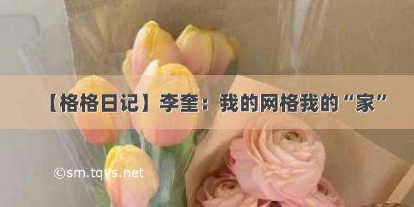 【格格日记】李奎：我的网格我的“家”