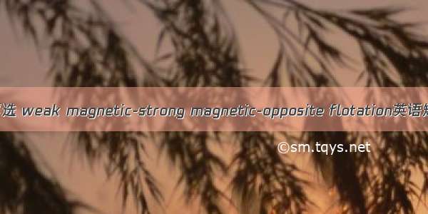 弱磁-强磁-反浮选 weak magnetic-strong magnetic-opposite flotation英语短句 例句大全