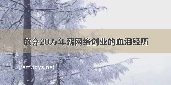 放弃20万年薪网络创业的血泪经历