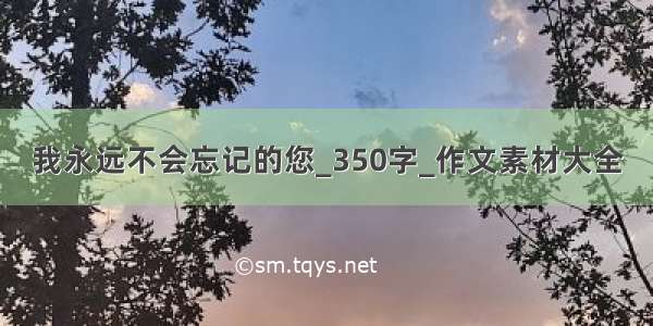 我永远不会忘记的您_350字_作文素材大全