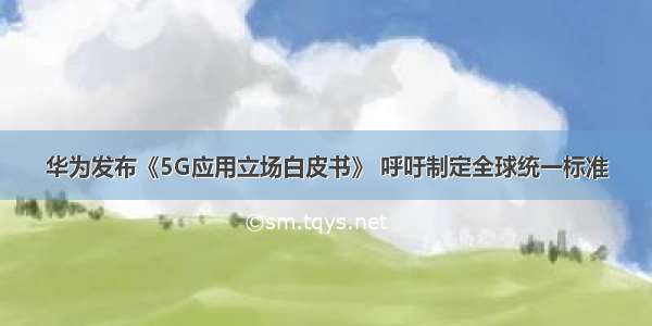 华为发布《5G应用立场白皮书》 呼吁制定全球统一标准