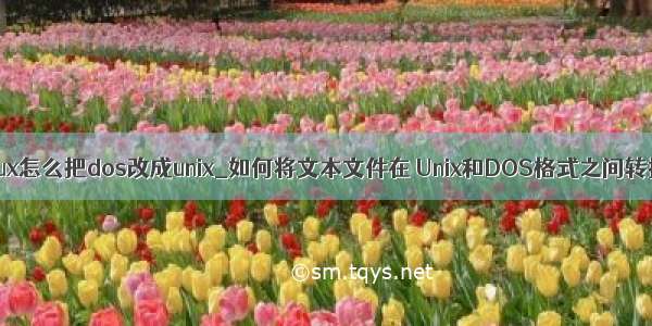 linux怎么把dos改成unix_如何将文本文件在 Unix和DOS格式之间转换