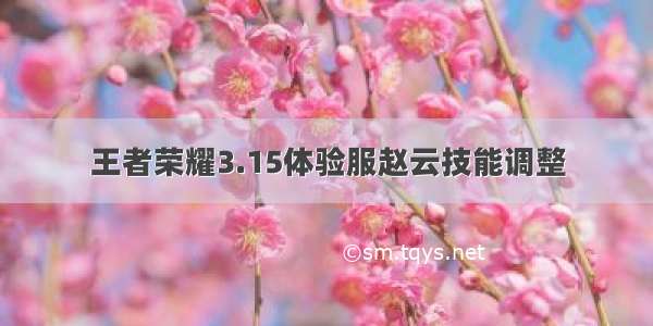 王者荣耀3.15体验服赵云技能调整