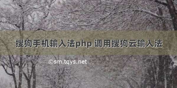 搜狗手机输入法php 调用搜狗云输入法