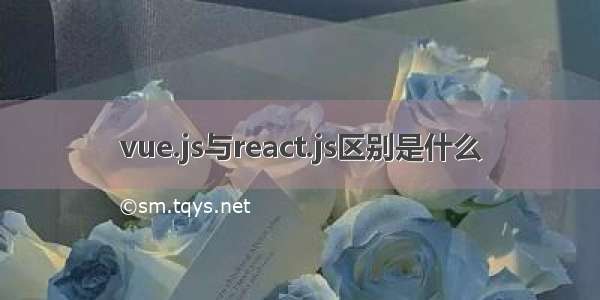 vue.js与react.js区别是什么