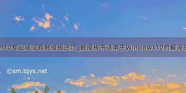 win10专业版没有触摸板选项_触摸板不适用于Windows10的解决技巧