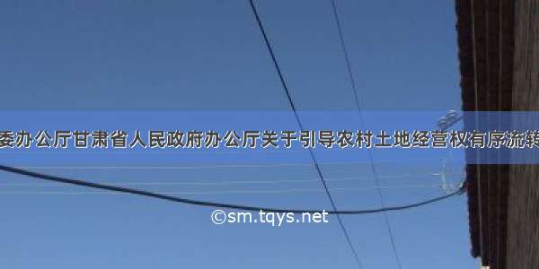 中共甘肃省委办公厅甘肃省人民政府办公厅关于引导农村土地经营权有序流转 发展农业适