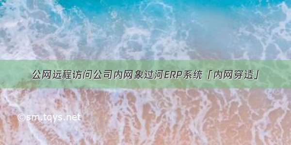 公网远程访问公司内网象过河ERP系统「内网穿透」