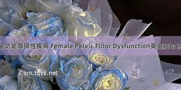 女性盆底功能障碍性疾病 Female Pelvic Floor Dysfunction英语短句 例句大全