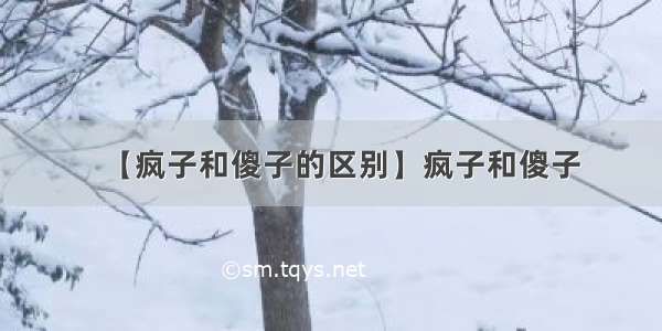 【疯子和傻子的区别】疯子和傻子